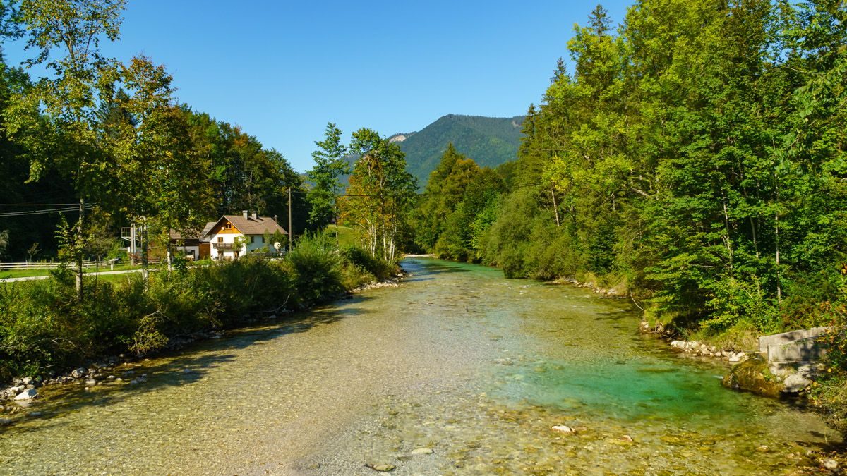 WALDNESS® erleben